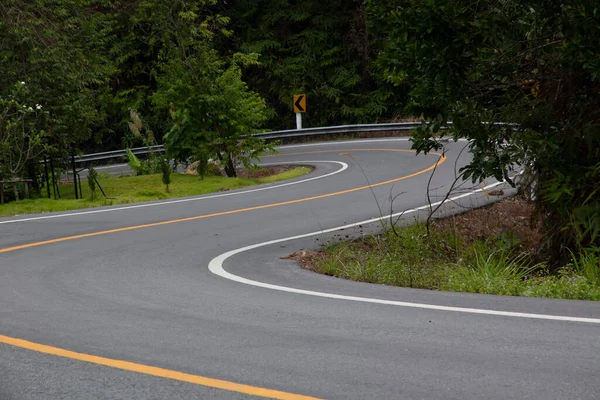 Asphalt Road Forest — Stock Photo, Image