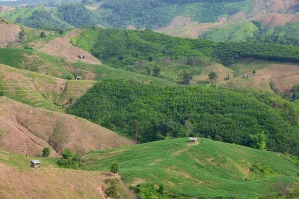 Gebirgsgrüne Landschaft Landwirtschaft Berg — Stockfoto