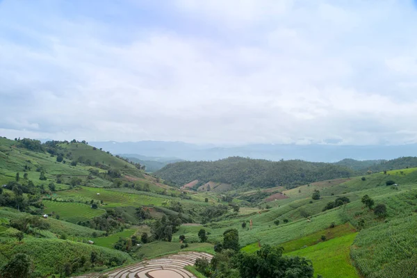 Sawah Teras Pong Pieng Mae Chaem Chiang Mai Thailand — Stok Foto