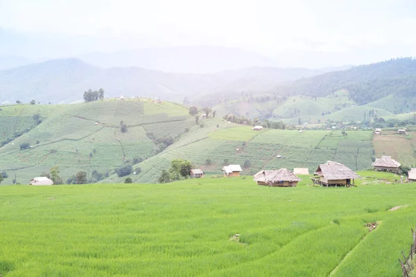 Reisterrassenfeld Pong Pieng Mae Chaem Chiang Mai Thailand — Stockfoto