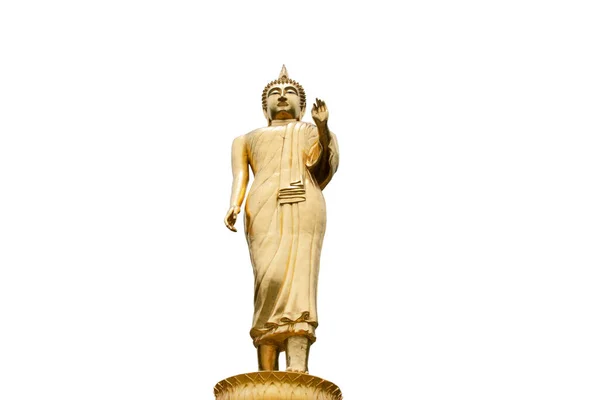 Golden Buddha Staty Stående Isolerad Vit Bakgrund Klippning Vägar — Stockfoto