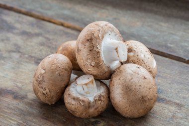 Kahverengi petrol mantar