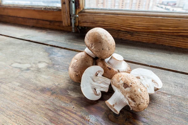Cogumelos de champinhons marrons — Fotografia de Stock
