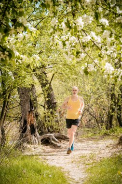Komuta sizde ormanda çalışan