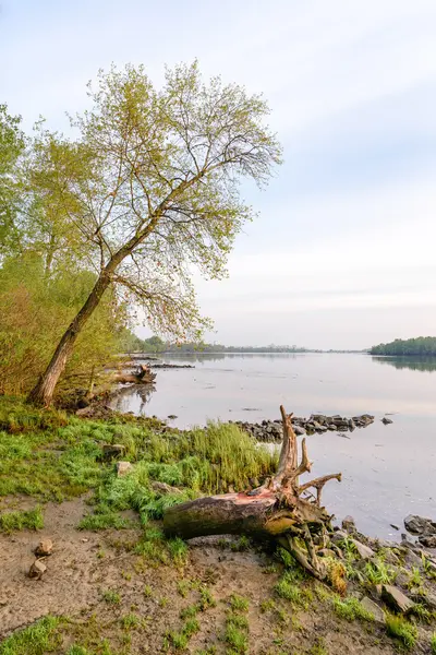 Uitzicht op de rivier dniper bij morning — Stockfoto