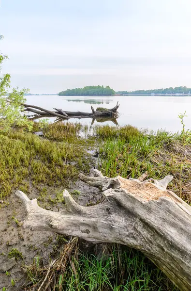 View of the Dniper River at morning — Stock Photo, Image