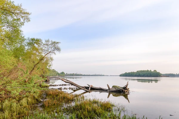 Uitzicht op de rivier dniper bij morning — Stockfoto