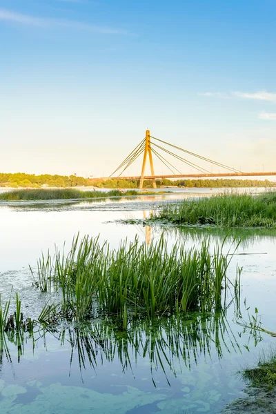 Uma Vista Ponte Moskovsky Sobre Rio Dnieper Kiev Ucrânia Durante — Fotografia de Stock