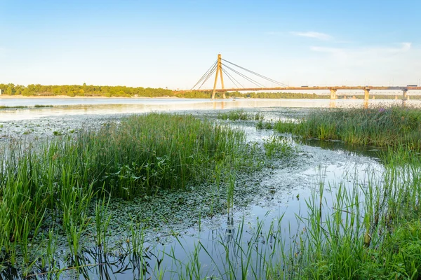 View Moskovsky Bridge Dnieper River Kiev Ukraine Blue Summer Evening — Stock Photo, Image