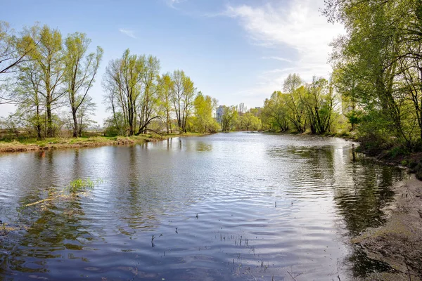 Mooie Rustige Lentedag Dicht Bij Rivier Dnjepr Jonge Groene Bladeren — Stockfoto