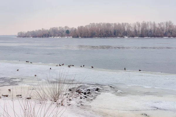 Paesaggio Con Acqua Ghiacciata Ghiaccio Neve Sul Fiume Dnieper Kiev — Foto Stock