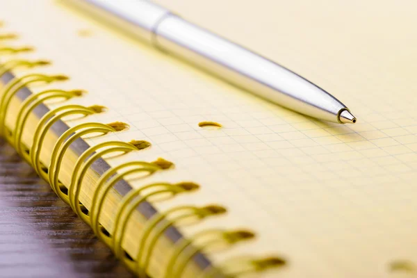 Caderno de papel com caneta — Fotografia de Stock