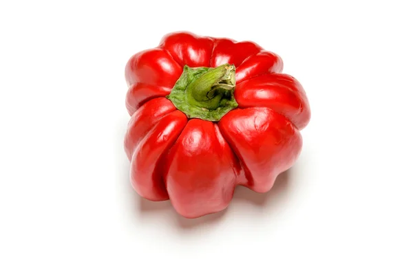 Red Bell Pepper — Stock Photo, Image