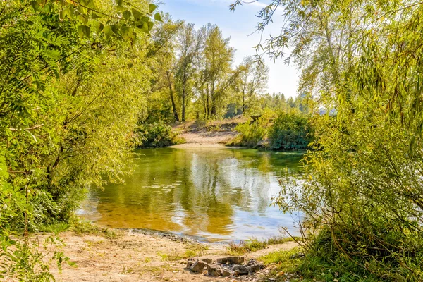 Ford omgeven door bomen — Stockfoto