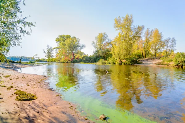 Rostliny a stromy, v blízkosti řeky — Stock fotografie