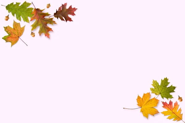 Autumn Leaves Frame — Stock Photo, Image