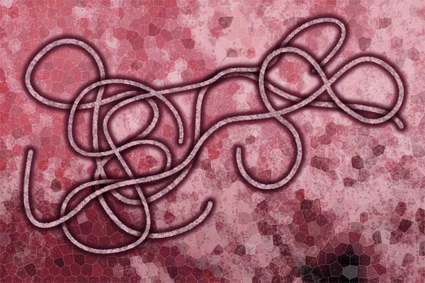 埃博拉病毒 — 图库照片