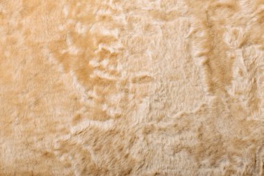 Koyun derisi ceketi doku