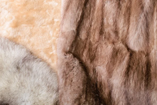 Ovčí kůže, Mink a Fox kožešiny — Stock fotografie