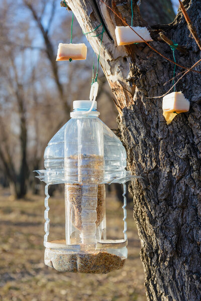 Birds Feeder