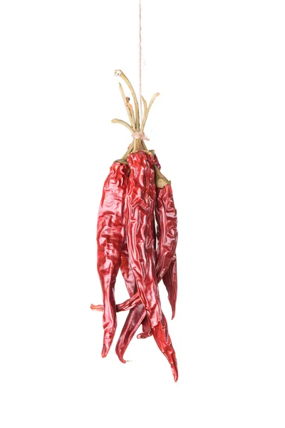 Askı kurutmak Chili Peppers — Stok fotoğraf