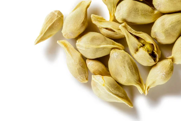 Orange's Seeds — Stock Photo, Image