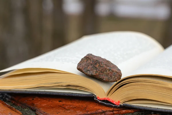 Stein auf Buch — Stockfoto