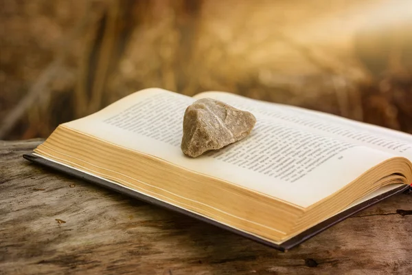 Камень на книге — стоковое фото
