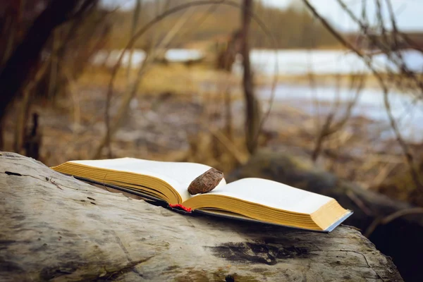 Buch in der Nähe des Flusses — Stockfoto