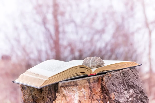 Pedra sobre um livro — Fotografia de Stock