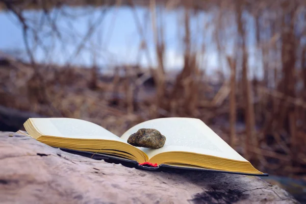 Stein und Buch in Flussnähe — Stockfoto