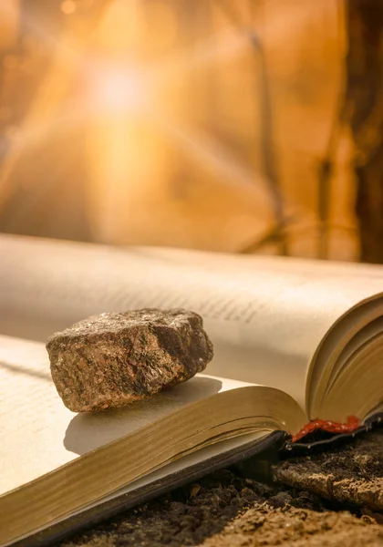 Stein auf Buch — Stockfoto