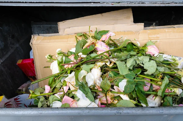 垃圾箱里的一些粉红色玫瑰 — 图库照片