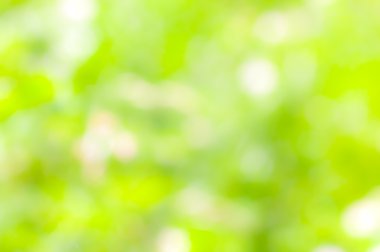 doğal bokeh arka plan