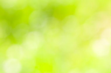 doğal bokeh arka plan