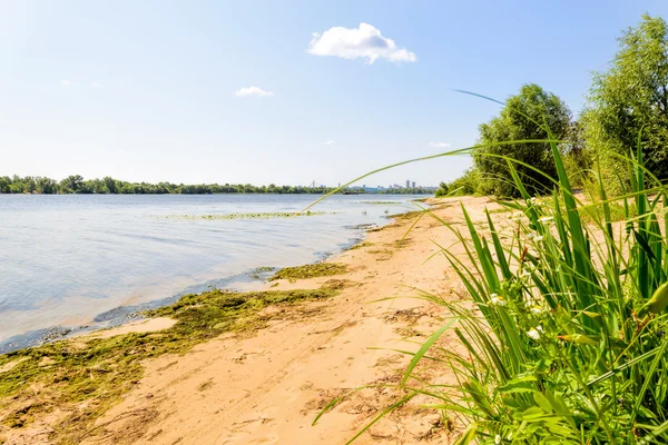 Dnjepr rivier strand — Stockfoto