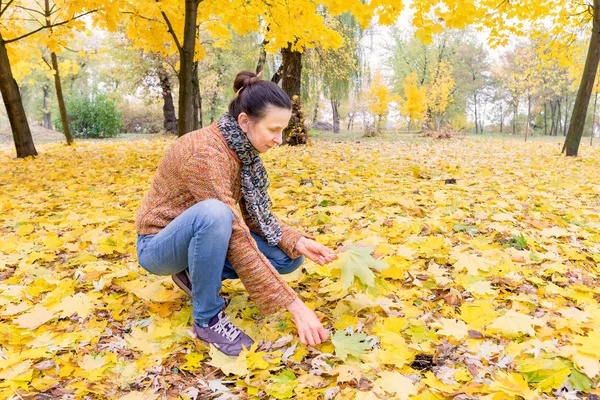 秋に葉を女性ピッキング — ストック写真