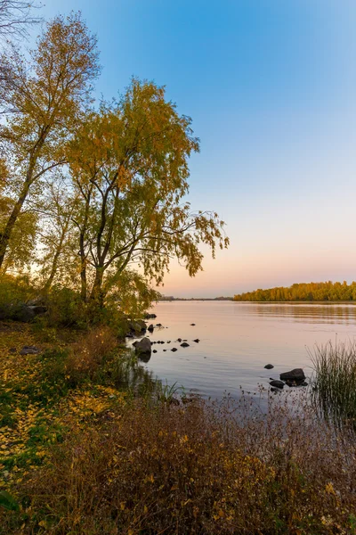 Drzew Ciepłe Kolory Dniepru Zmierzchu Jesieni Kijowie Ukraina — Zdjęcie stockowe