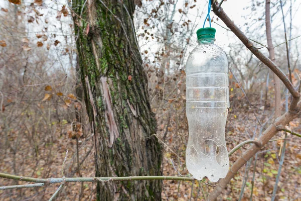 Plastik Şişede Kışın Kuşlar Için Besleyici Kullanılan Ağaç — Stok fotoğraf