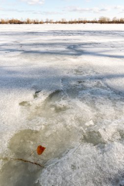 Kiev, Ukrayna donmuş Dnieper Nehri üzerinde bir yaprak buz detay