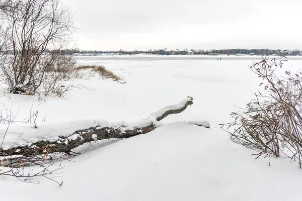 キエフ ウクライナの死んだ木の幹と冷凍のドニエプル川の寒さと雪に覆われた冬の風景 — ストック写真
