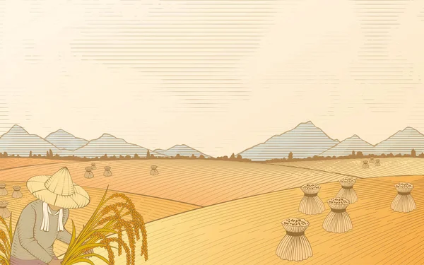 Illustration Gravure Bois Agriculteur Récoltant Sur Scène Rizière — Image vectorielle