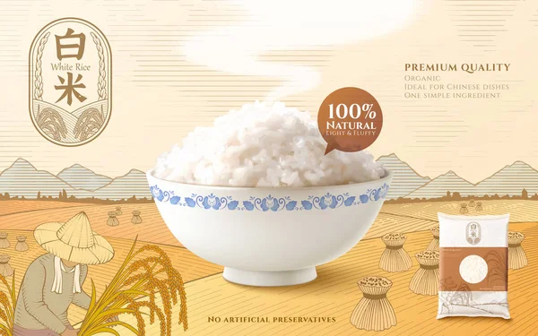 Vorlage Für Die Anzeige Von Reisprodukten Attrappe Von Gedämpftem Reis — Stockvektor