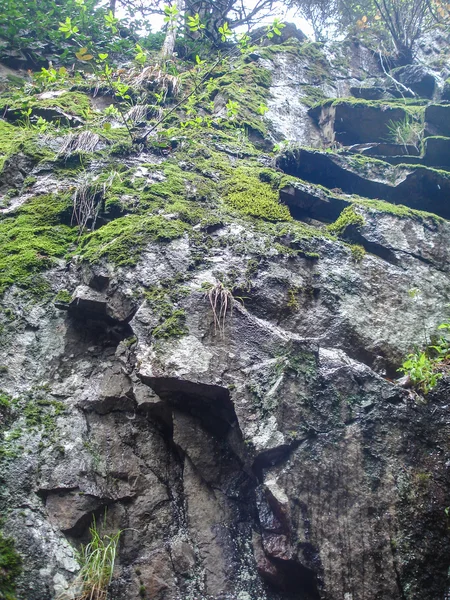 苔藓岩石纹理一 — 图库照片