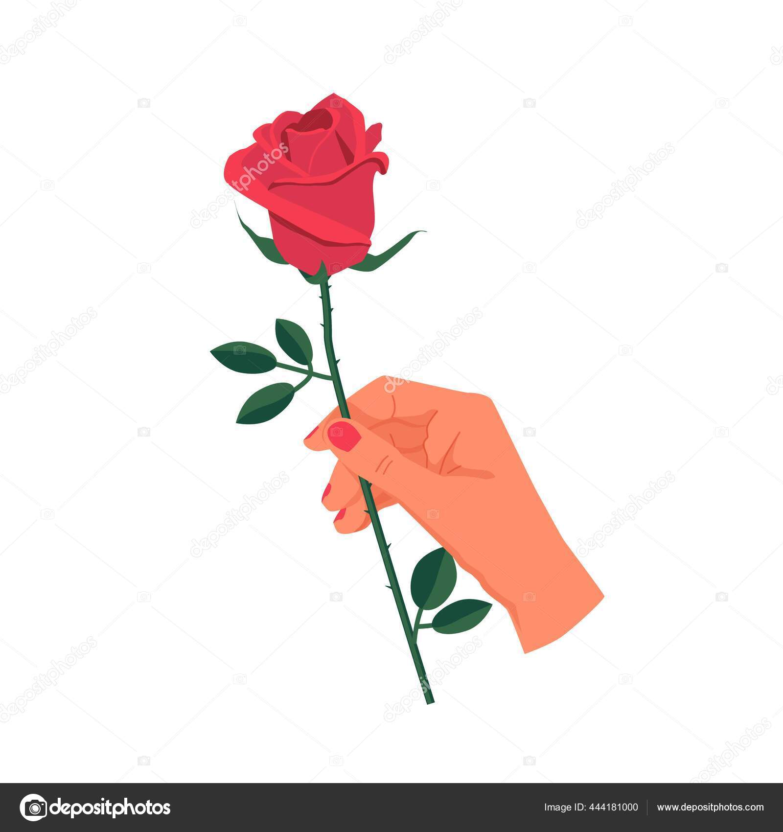 Blooming Red Rose Vector Flat Isolated Illustration Stock