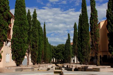 Çeşme ağaçları ile 