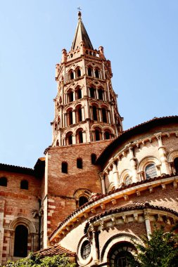 Fokların başı suyun içinde.