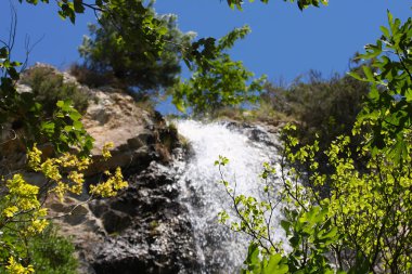 Mountain River şelalesi. Doğa. Şelale. Doğal ortam. Şelale doğası. Doğada güzellik. Doğal şelale. Doğada seyahat..