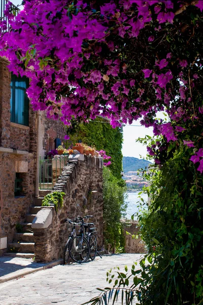 Collioure 'da renkli evler. Fransız Akdeniz kıyısında güzel dekore edilmiş geleneksel evler.