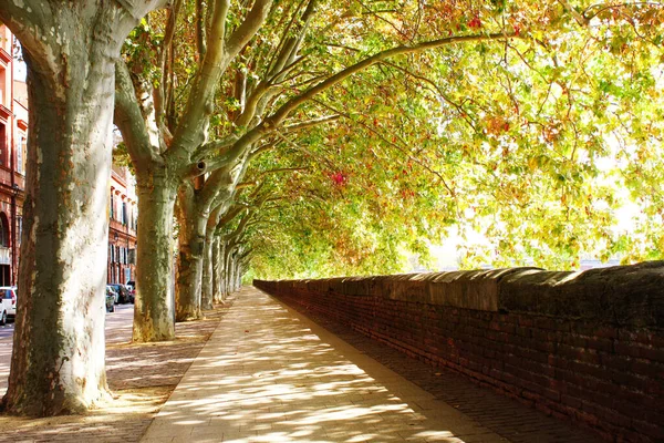 Promenade Garonne Toulozse Frankrijk — Stockfoto